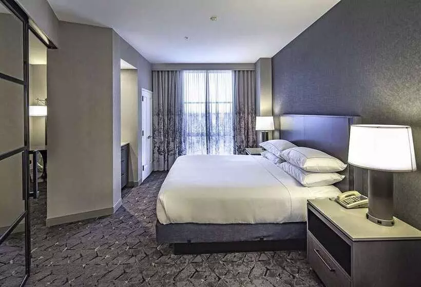 キングサイズベッドのスイートルーム, Doubletree By Hilton Washington Dc North/gaithersburg