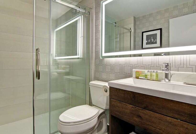 جناح سرير كينج, Doubletree By Hilton Washington Dc North/gaithersburg