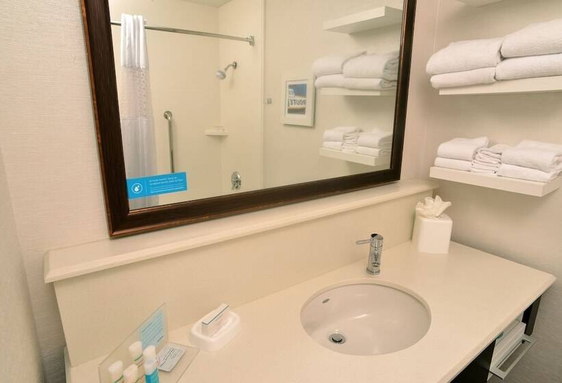Номер Стандарт 2 Двуспальные Кровати, Hampton Inn Springfield South