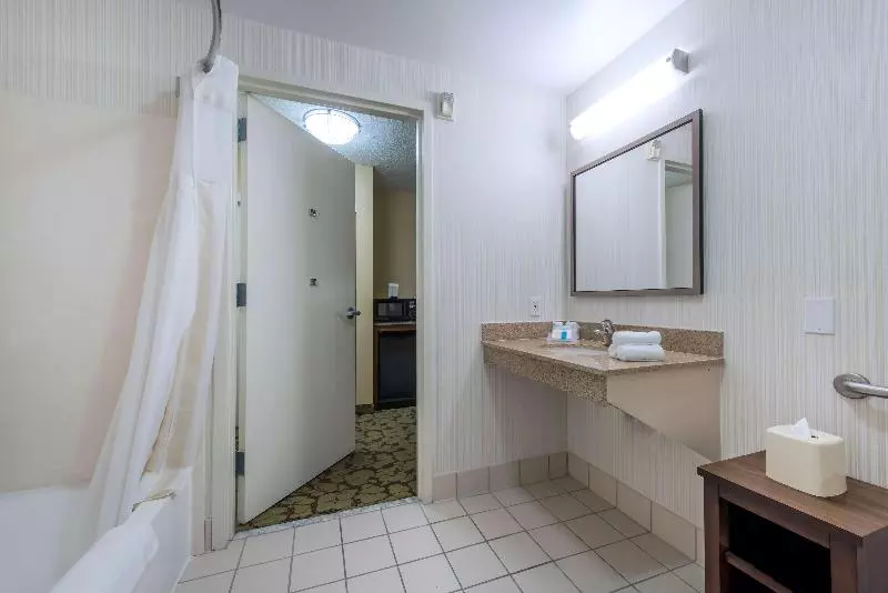 اتاق استاندارد با تخت بزرگ, Hilton Garden Inn Arcadia/pasadena Area