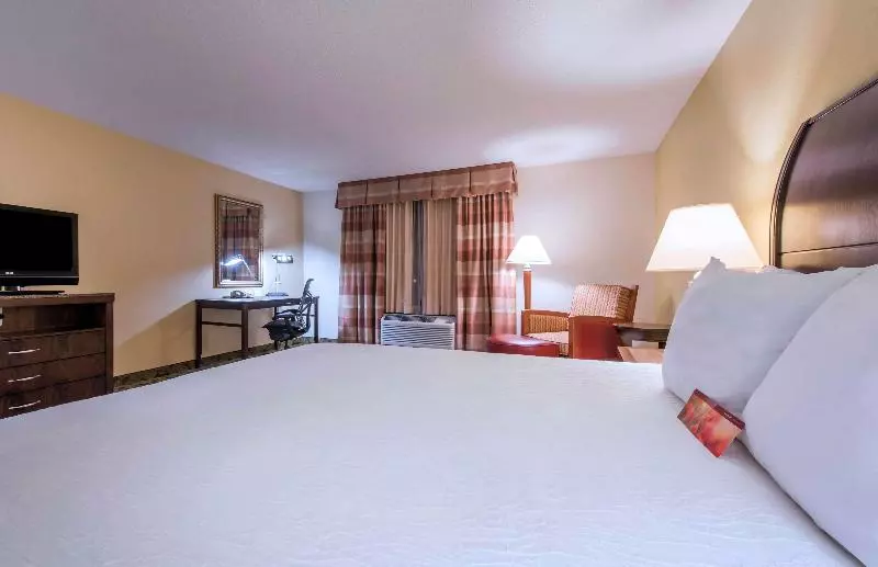 اتاق استاندارد با تخت بزرگ, Hilton Garden Inn Arcadia/pasadena Area