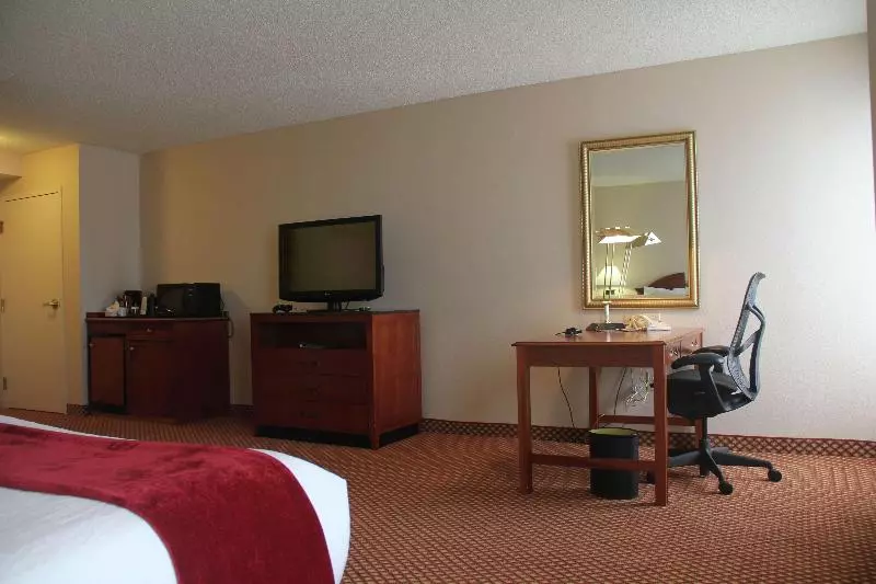 キングサイズベッドのスタンダードルーム, Hilton Garden Inn Denver Airport