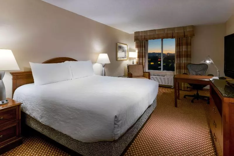キングサイズベッドのスタンダードルーム, Hilton Garden Inn Denver Airport