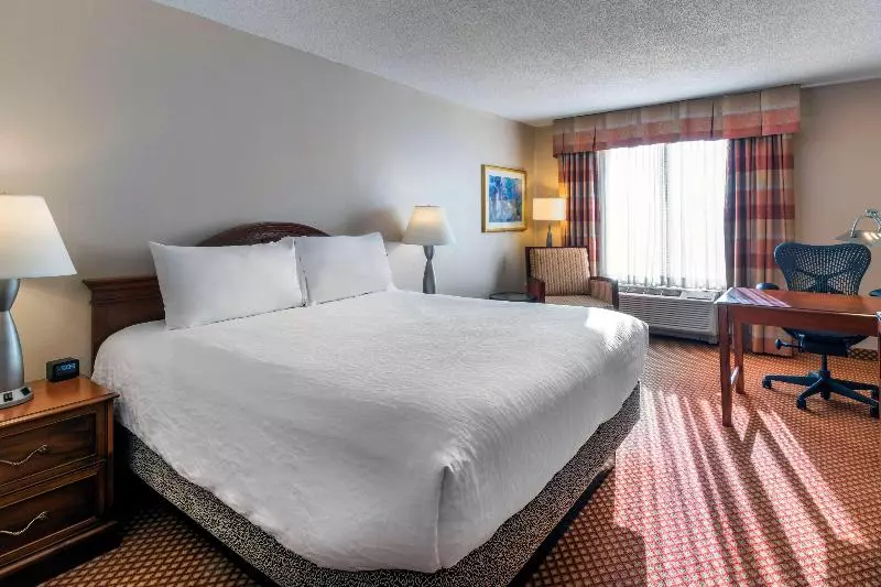 キングサイズベッドのスタンダードルーム, Hilton Garden Inn Denver Airport