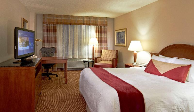 חדר סטנדרט עם מיטת קינג, Hilton Garden Inn Denver Airport