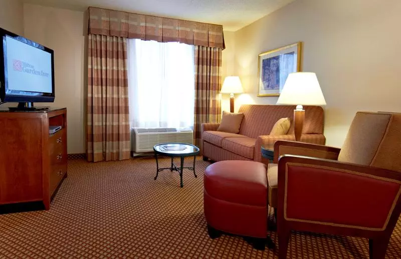 キングサイズベッドのスイートルーム, Hilton Garden Inn Denver Airport
