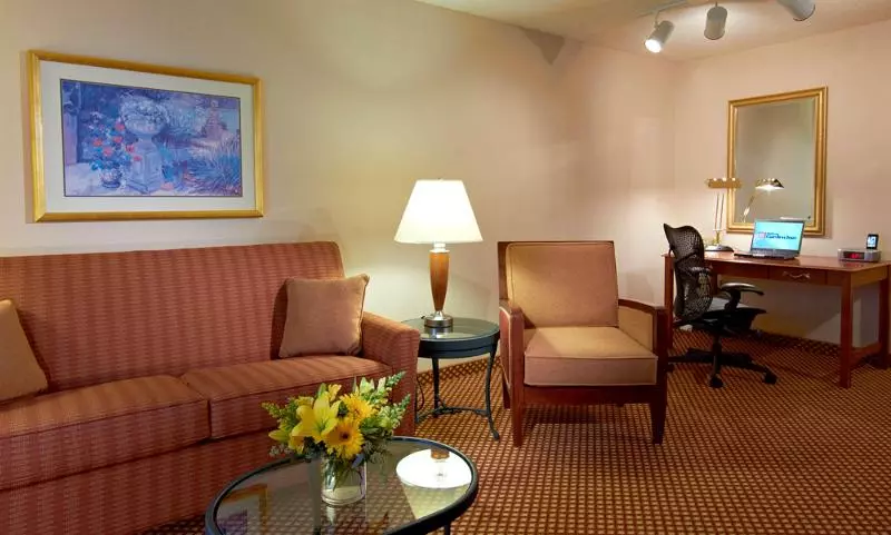キングサイズベッドのスイートルーム, Hilton Garden Inn Denver Airport