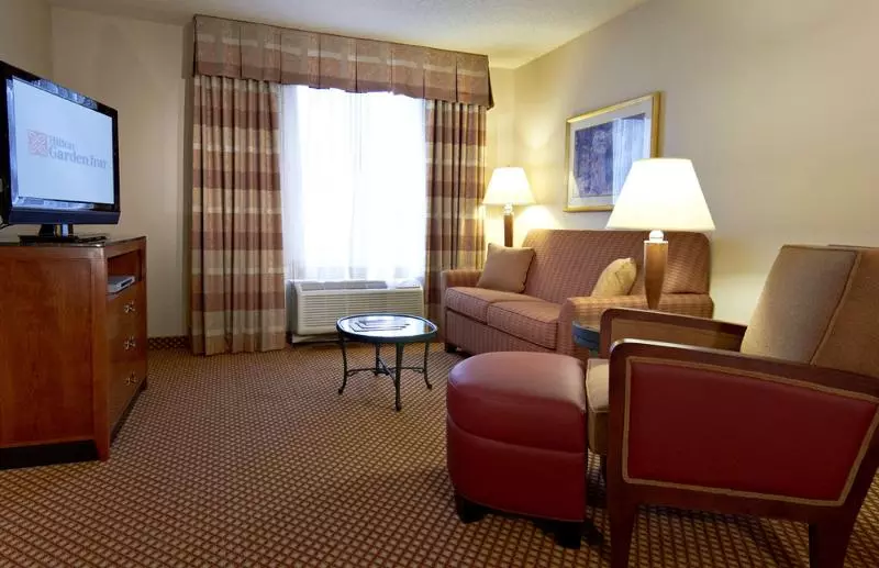 キングサイズベッドのスイートルーム, Hilton Garden Inn Denver Airport