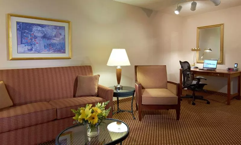 キングサイズベッドのスイートルーム, Hilton Garden Inn Denver Airport