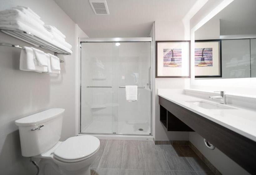 带大床的标准间, Holiday Inn Kearney, An Ihg