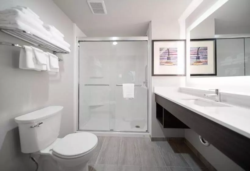 اتاق استاندارد با تخت بزرگ, Holiday Inn Kearney, An Ihg