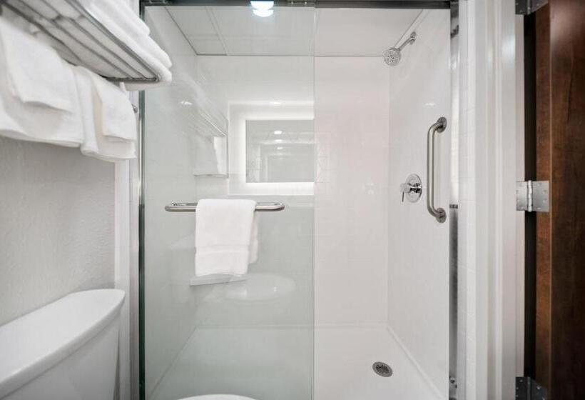 Стандартный Номер Кровать Кинг, Holiday Inn Kearney, An Ihg