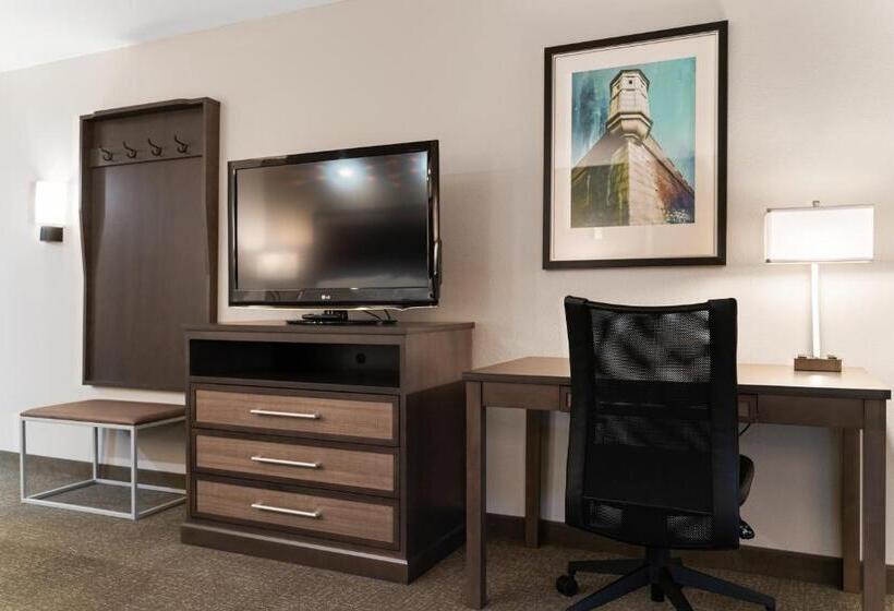 适合残疾人士使用的带超级大床的标准间, Holiday Inn Kearney, An Ihg