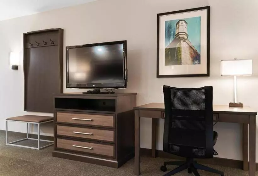 اتاق استاندارد با تخت بزرگ برای معلولان, Holiday Inn Kearney, An Ihg