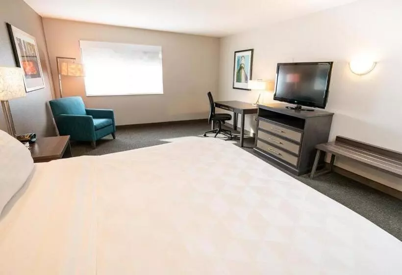 اتاق استاندارد با تخت بزرگ برای معلولان, Holiday Inn Kearney, An Ihg