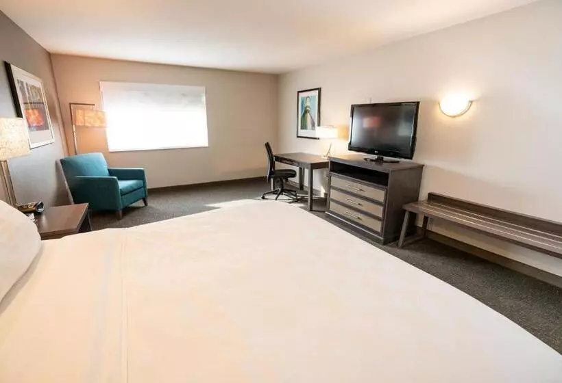 اتاق استاندارد با تخت بزرگ برای معلولان, Holiday Inn Kearney, An Ihg