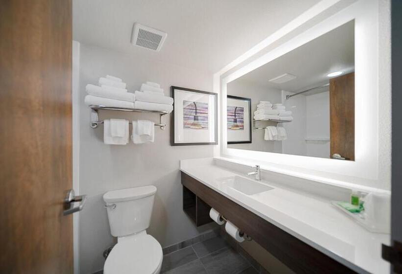 适合残疾人使用的标准间, Holiday Inn Kearney, An Ihg