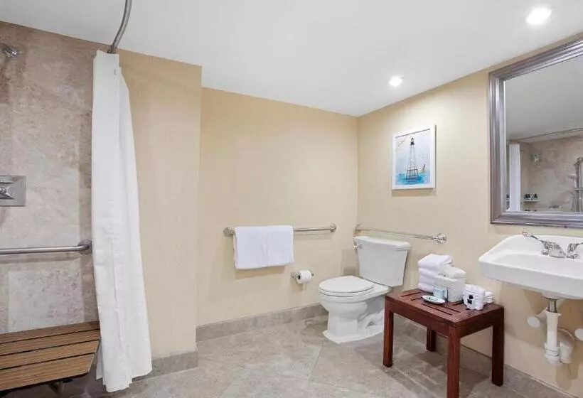 اتاق استاندارد با تخت بزرگ برای معلولان, Opal Key Resort & Marina