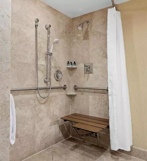 اتاق استاندارد با تخت بزرگ برای معلولان, Opal Key Resort & Marina