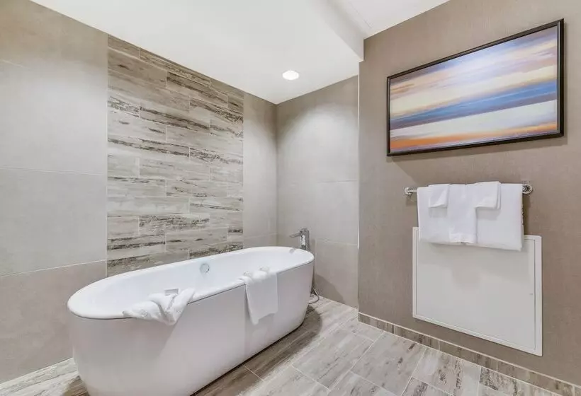 سوئیت با تخت بزرگ, Harveys Lake Tahoe Resort & Casino