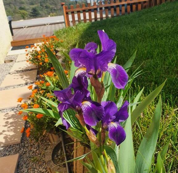标准房带园景, La Maison De Lalouette