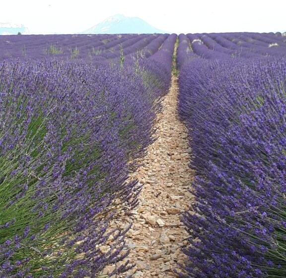 标准房带园景, La Maison De Lalouette