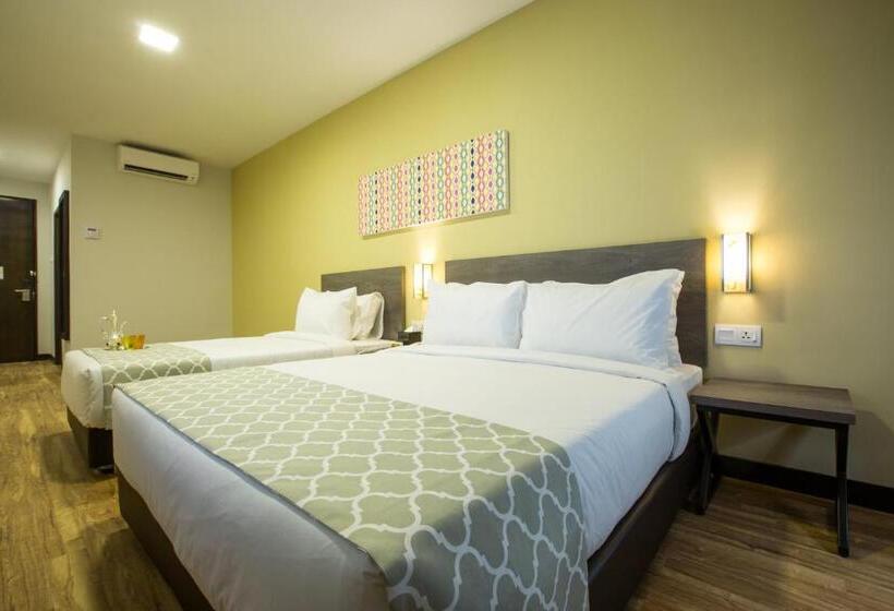 סוויטה משפחתית, Humaira