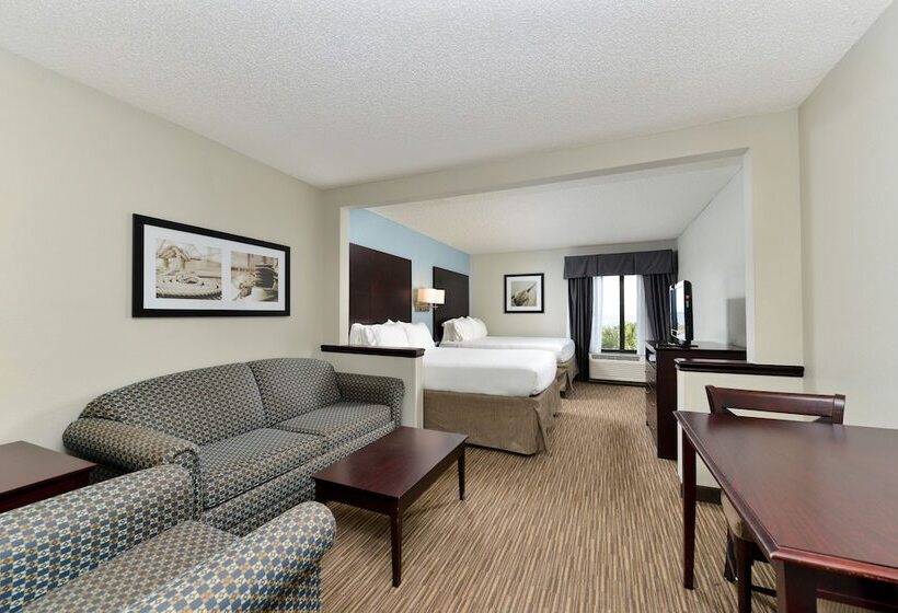スイート, Holiday Inn Express Hotel & Suites Tampa Rocky Point Island, An Ihg