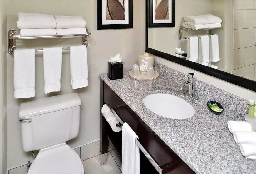 اتاق استاندارد, Holiday Inn Express Hotel & Suites Tampa Rocky Point Island, An Ihg