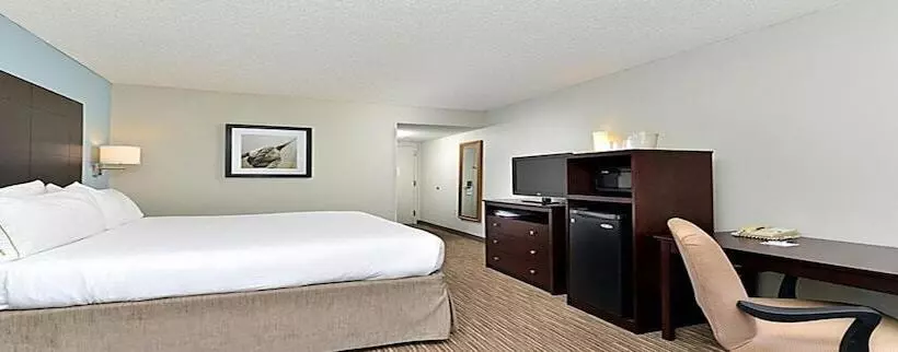 اتاق استاندارد, Holiday Inn Express Hotel & Suites Tampa Rocky Point Island, An Ihg