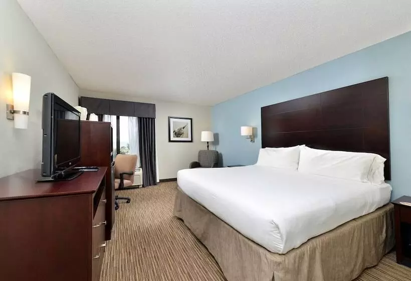 اتاق استاندارد, Holiday Inn Express Hotel & Suites Tampa Rocky Point Island, An Ihg