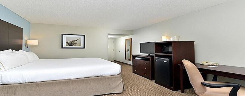 סוויטה עם נוף, Holiday Inn Express Hotel & Suites Tampa Rocky Point Island, An Ihg