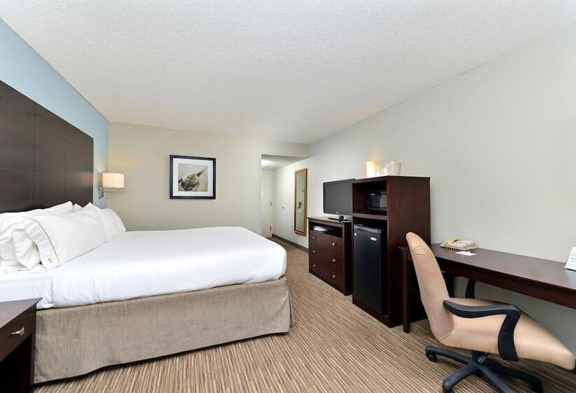 可观景的套房, Holiday Inn Express Hotel & Suites Tampa Rocky Point Island, An Ihg