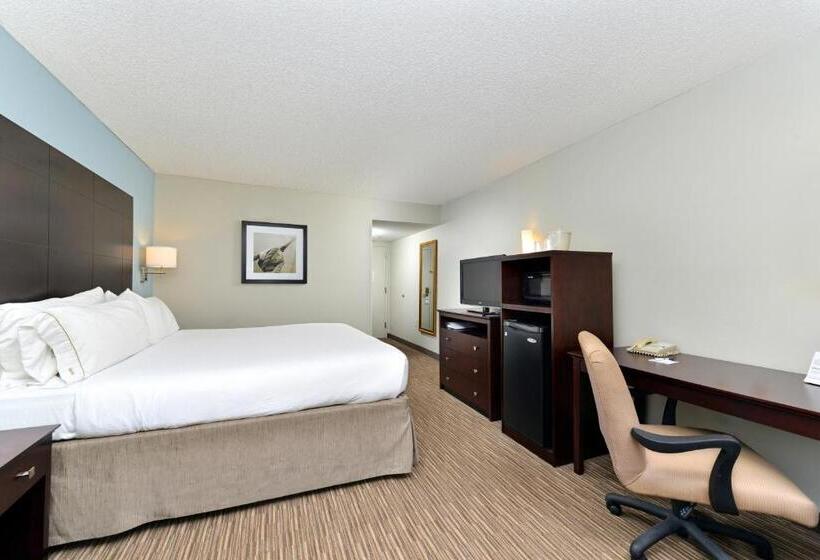 חדר סטנדרט עם מיטת קינג, Holiday Inn Express Hotel & Suites Tampa Rocky Point Island, An Ihg