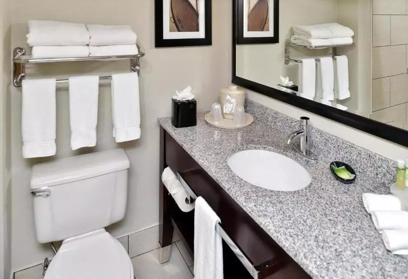 اتاق استاندارد با تخت بزرگ, Holiday Inn Express Hotel & Suites Tampa Rocky Point Island, An Ihg