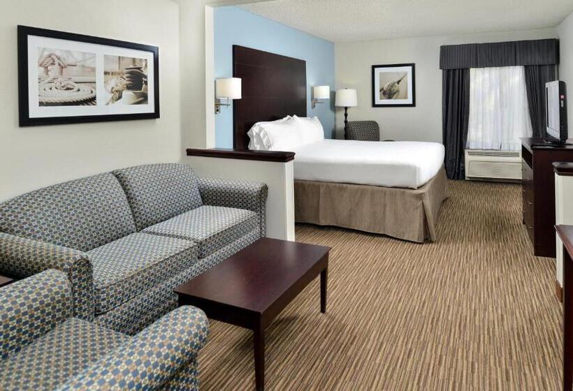 מיטת קינג בסוויטה, Holiday Inn Express Hotel & Suites Tampa Rocky Point Island, An Ihg