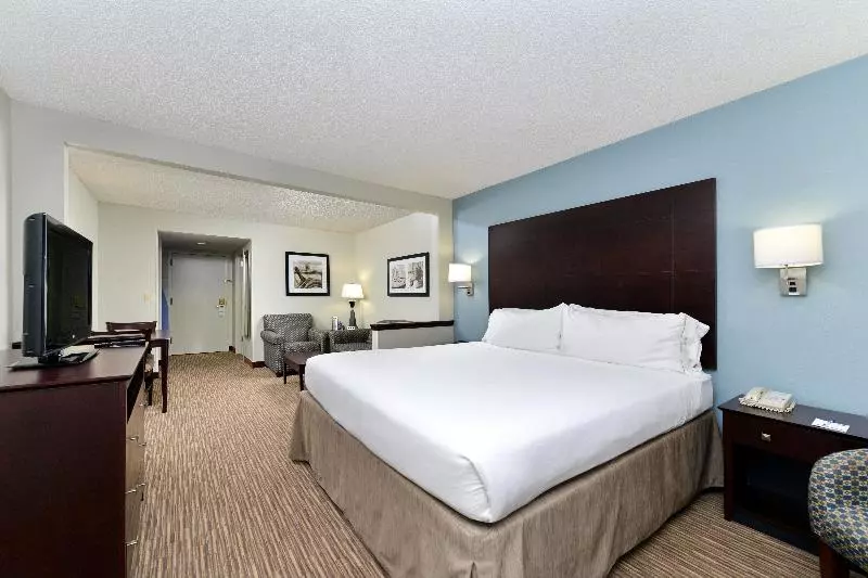 سوئیت با تخت بزرگ, Holiday Inn Express Hotel & Suites Tampa Rocky Point Island, An Ihg