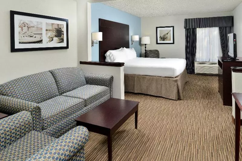 سوئیت با تخت بزرگ, Holiday Inn Express Hotel & Suites Tampa Rocky Point Island, An Ihg