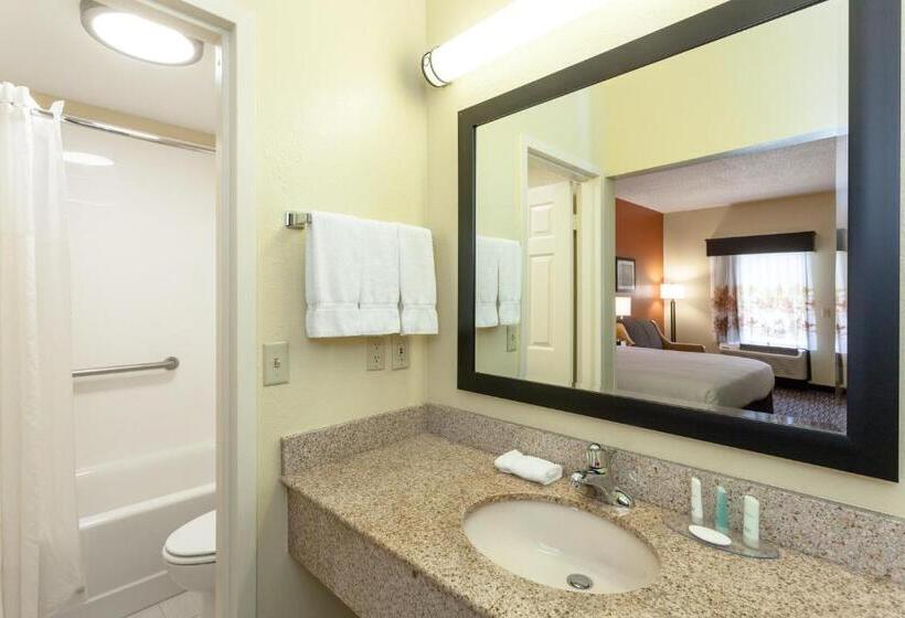 Стандартный Номер Кровать Кинг, Clarion Inn Biltmore Village