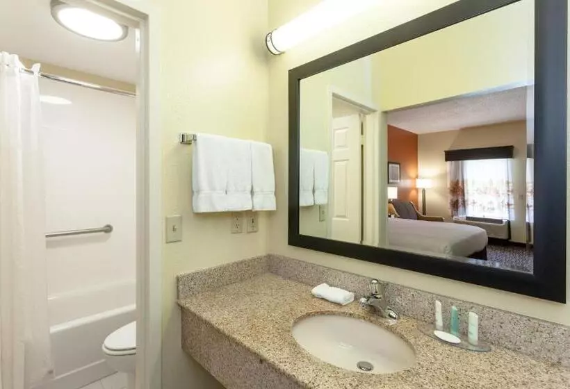 اتاق استاندارد با تخت بزرگ, Clarion Inn Biltmore Village