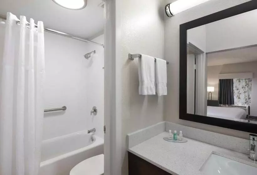 اتاق استاندارد با تخت بزرگ, Clarion Inn Biltmore Village