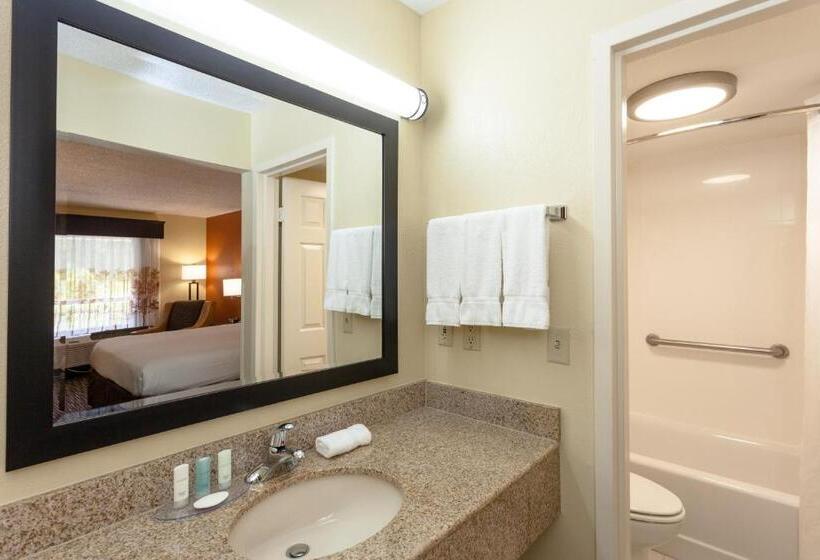 Quarto Estandar Cama King para Deficientes Físicos, Clarion Inn Biltmore Village