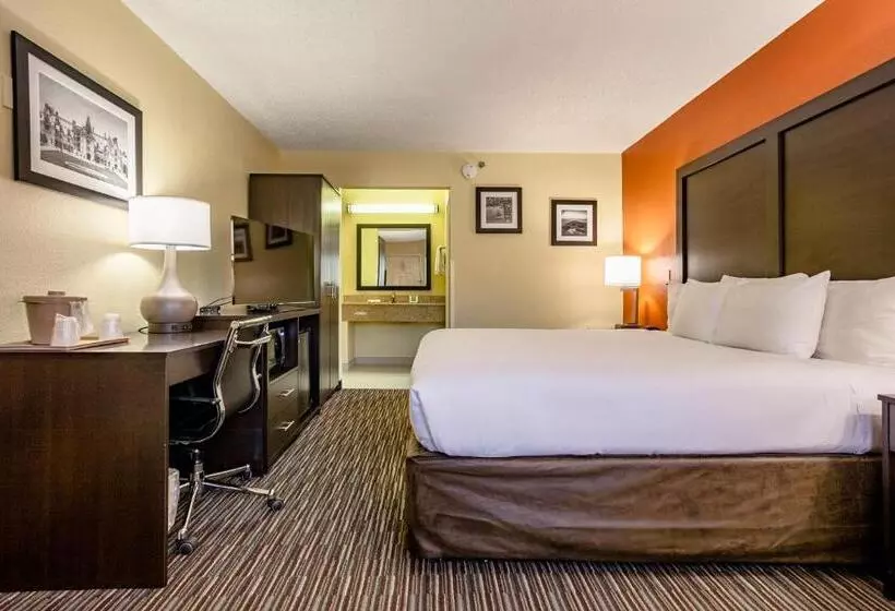 اتاق استاندارد با تخت بزرگ برای معلولان, Clarion Inn Biltmore Village