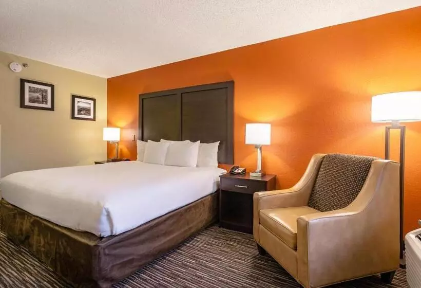 اتاق استاندارد با تخت بزرگ برای معلولان, Clarion Inn Biltmore Village