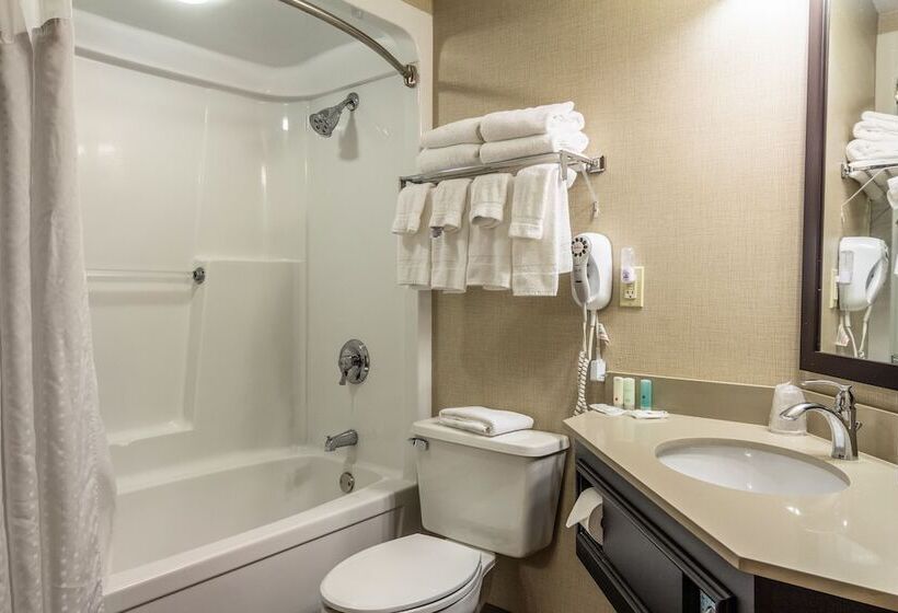 스탠다드 룸 더블 침대 2개, Clarion Inn