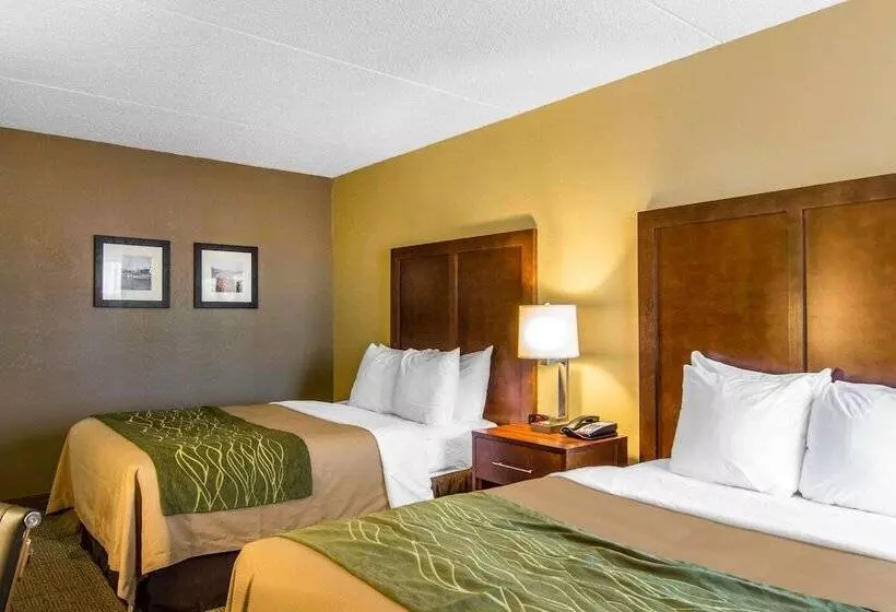 اتاق استاندارد با 2 تخت دوبل, Comfort Inn Newport News Williamsburg East