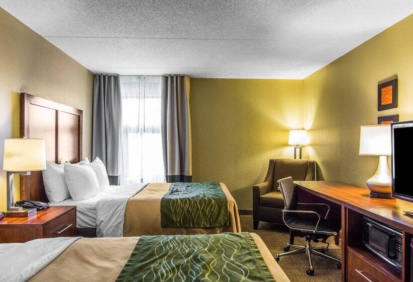 스탠다드 룸 더블 침대 2개, Comfort Inn Newport News Williamsburg East