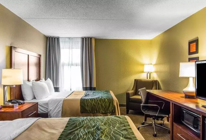 اتاق استاندارد با 2 تخت دوبل, Comfort Inn Newport News Williamsburg East