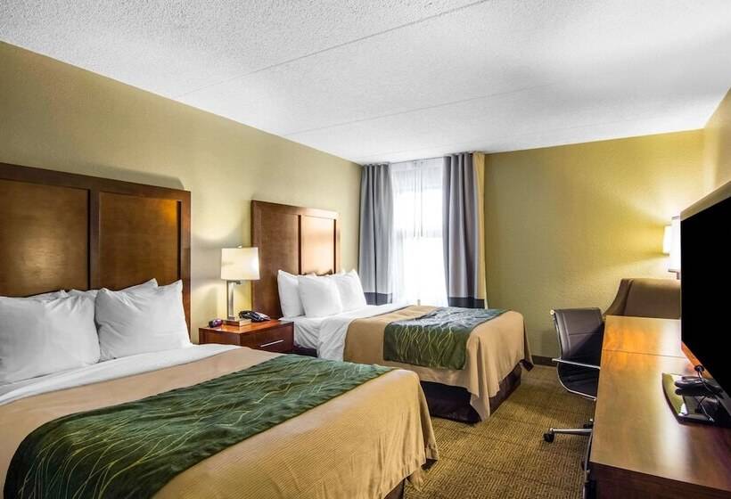 스탠다드 룸 더블 침대 2개, Comfort Inn Newport News Williamsburg East
