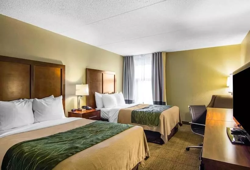 اتاق استاندارد با 2 تخت دوبل, Comfort Inn Newport News Williamsburg East